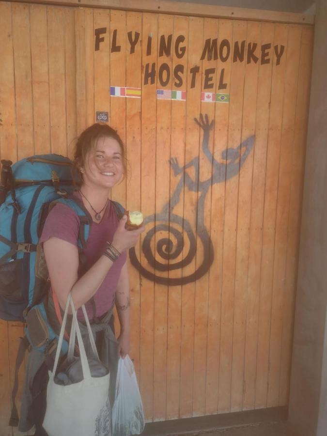 נאסקה Flying Monkey Hostel מראה חיצוני תמונה