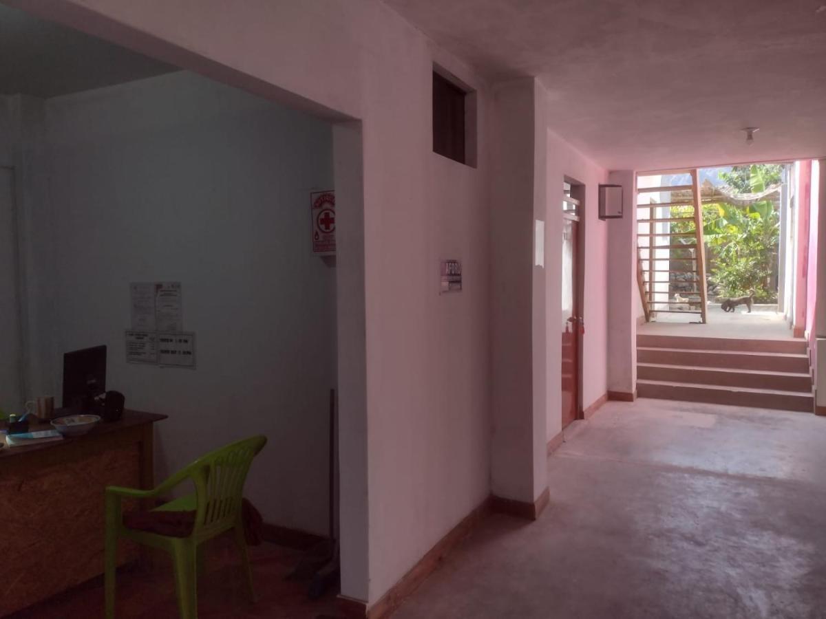 נאסקה Flying Monkey Hostel מראה חיצוני תמונה