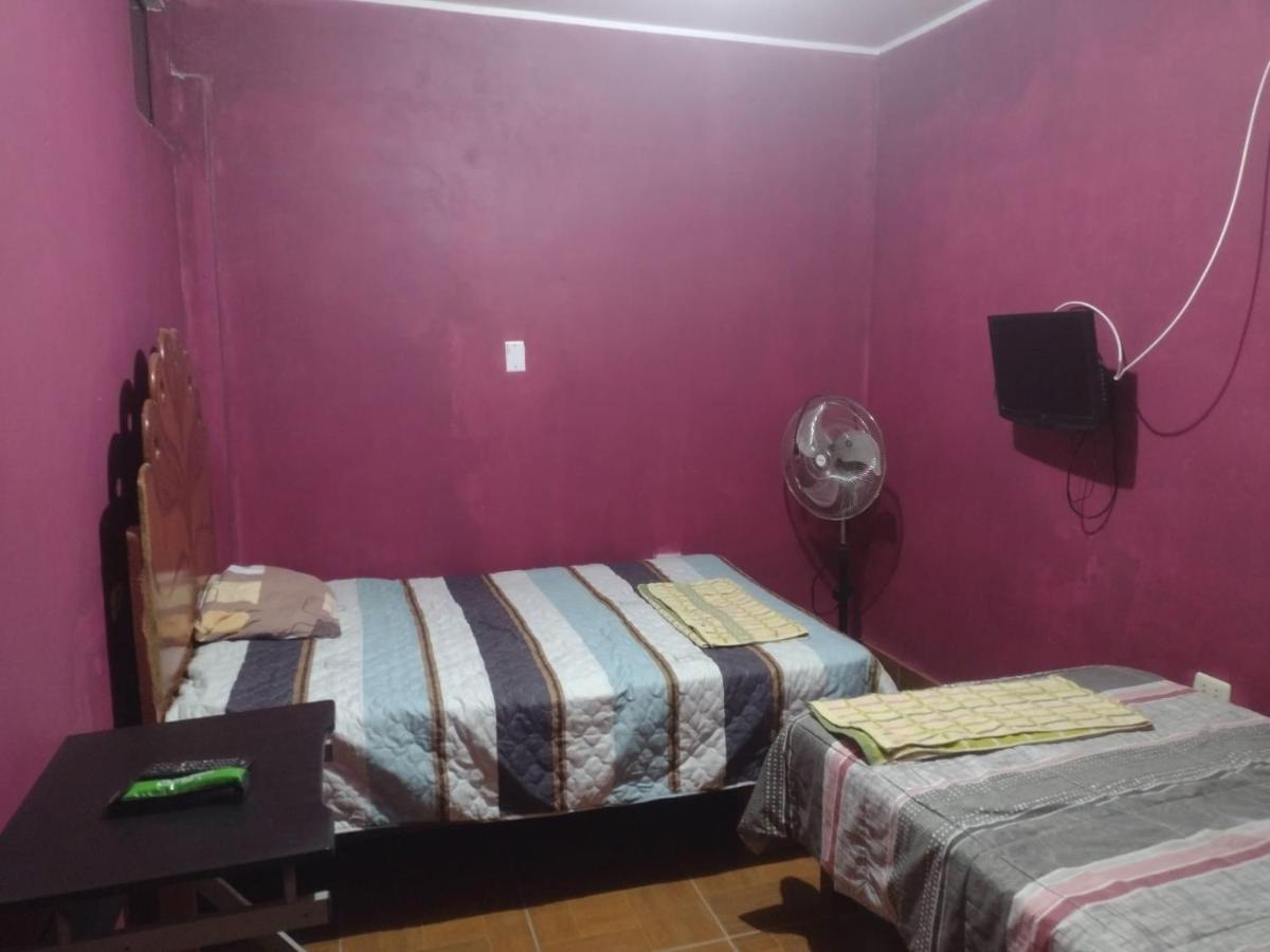 נאסקה Flying Monkey Hostel מראה חיצוני תמונה