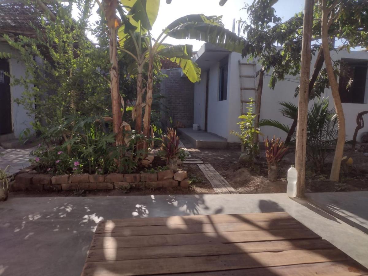 נאסקה Flying Monkey Hostel מראה חיצוני תמונה